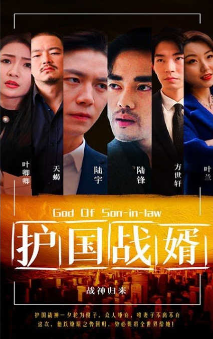 护国战婿 第84集
