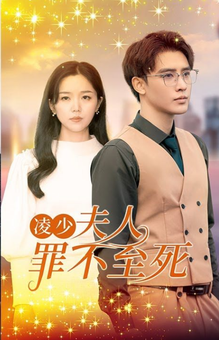 凌少，夫人罪不至死 第04集