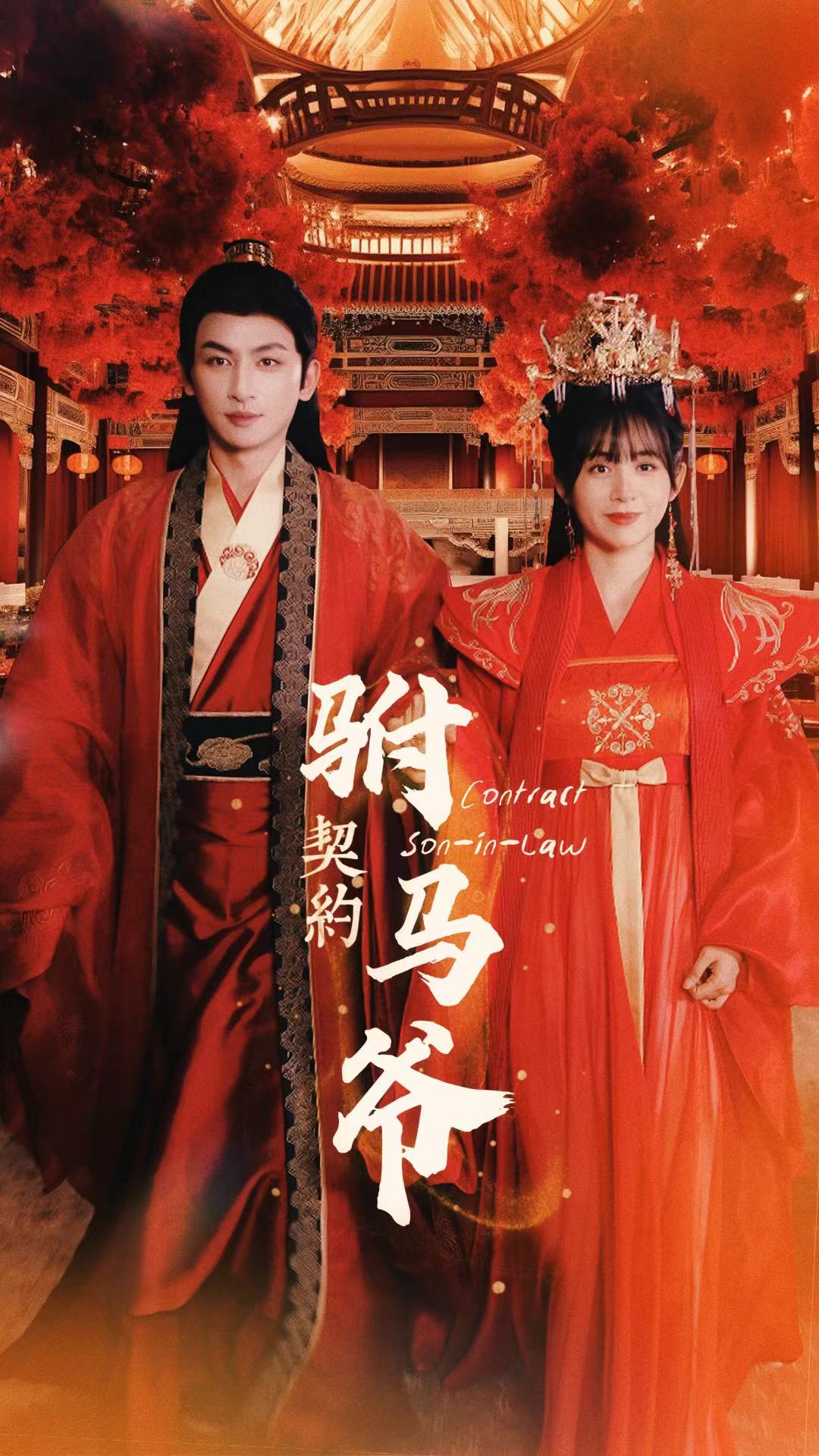 契约驸马爷 第03集
