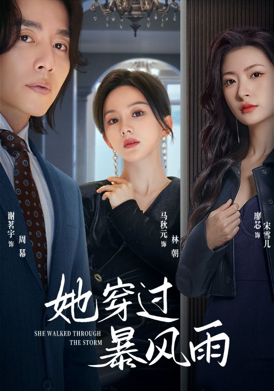 她穿过暴风雨 第34集