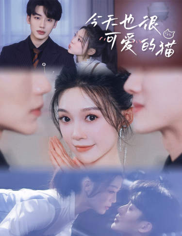 今天也很可爱的猫 第01集