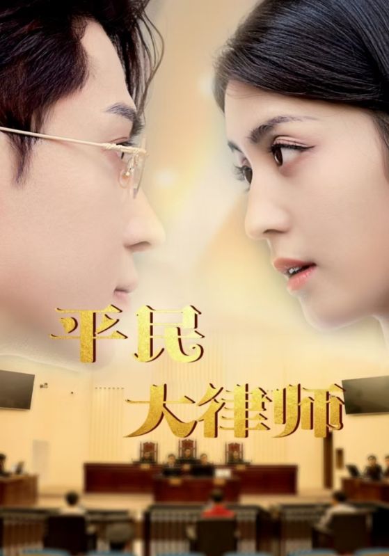 平民大律师 第01集