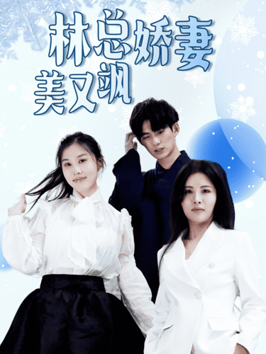 林总娇妻美又飒 第03集