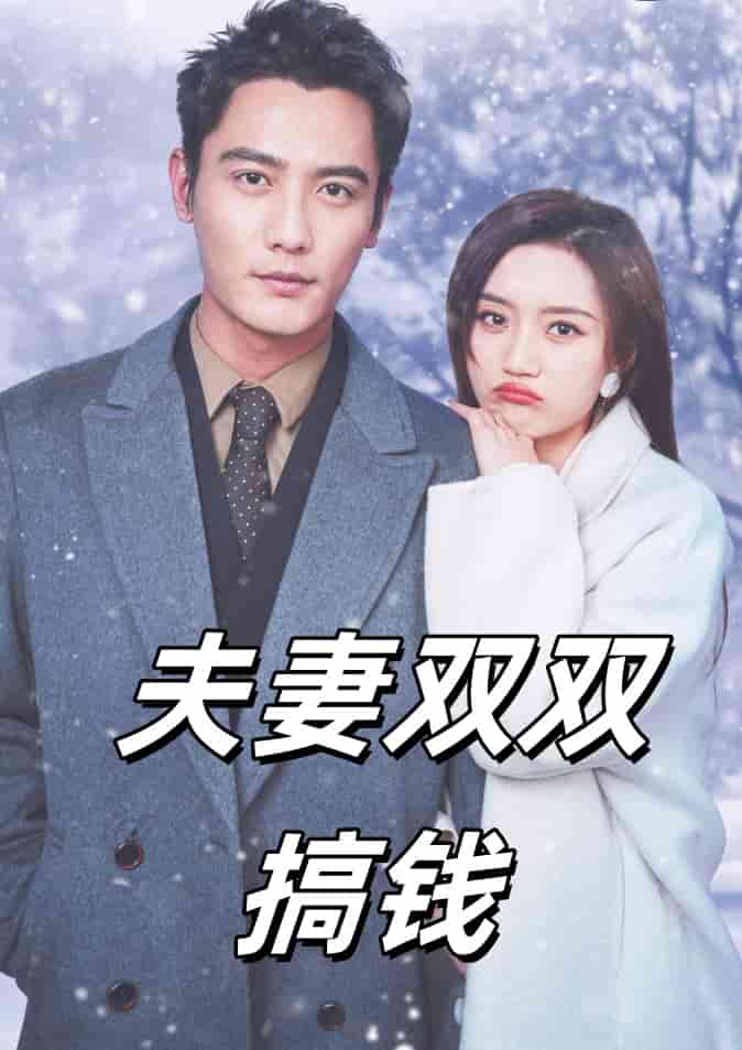 夫妻双双搞钱 第28集