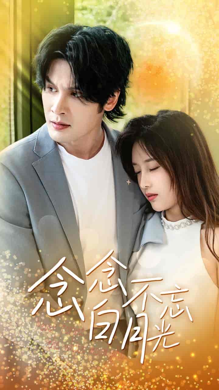 念念不忘白月光 第03集