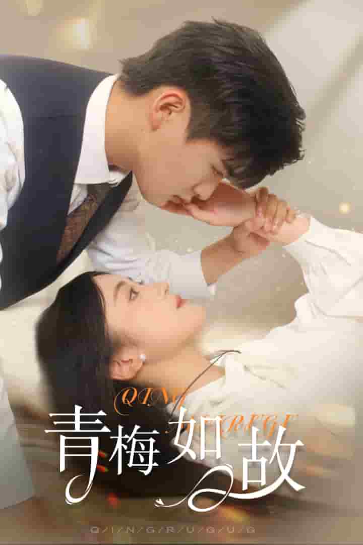 青梅如故 第17集