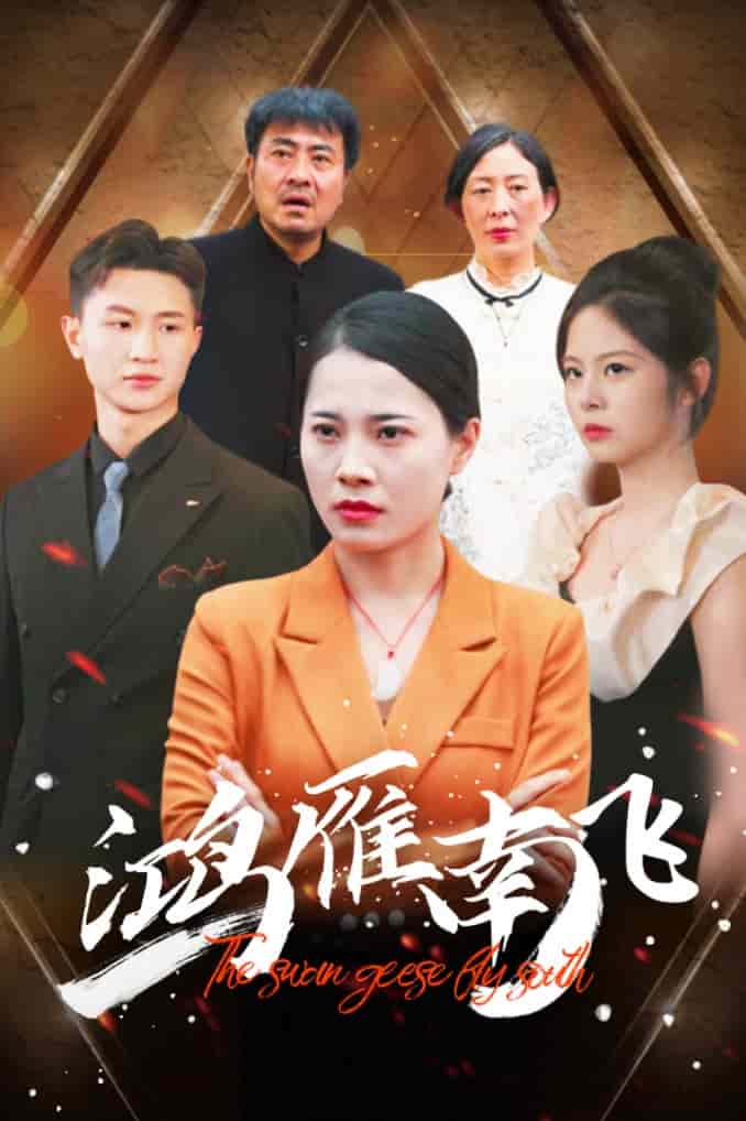 鸿雁南飞 第03集