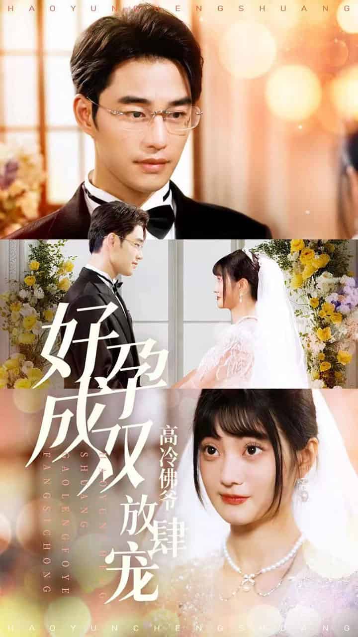 好孕成双高冷佛爷放肆宠 第14集