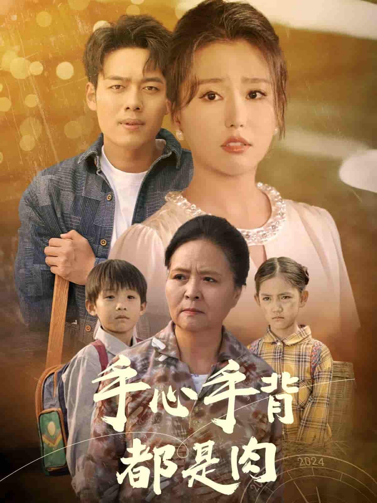 手心手背都是肉 第01集