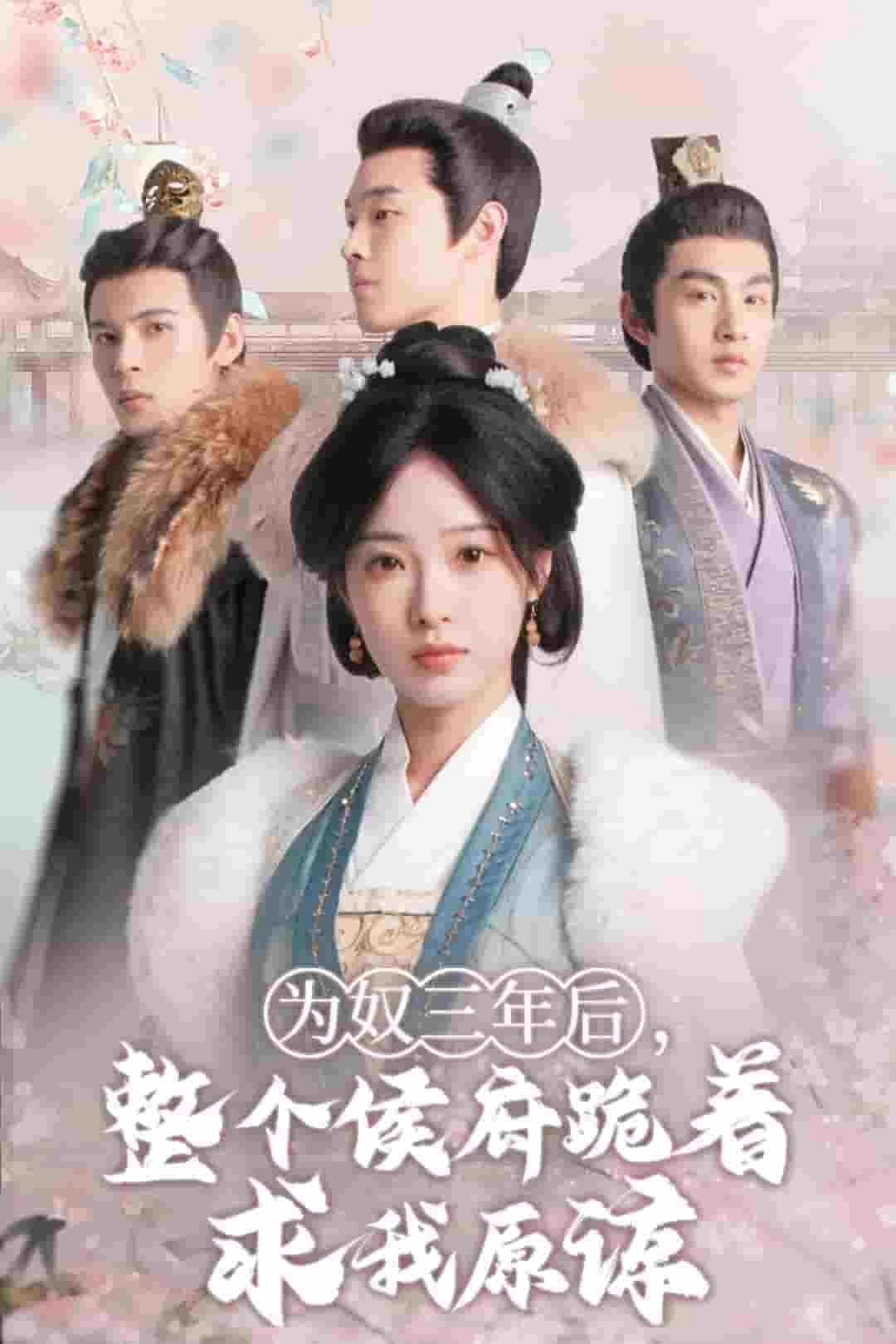 为奴三年后，整个侯府跪着求我原谅 第02集