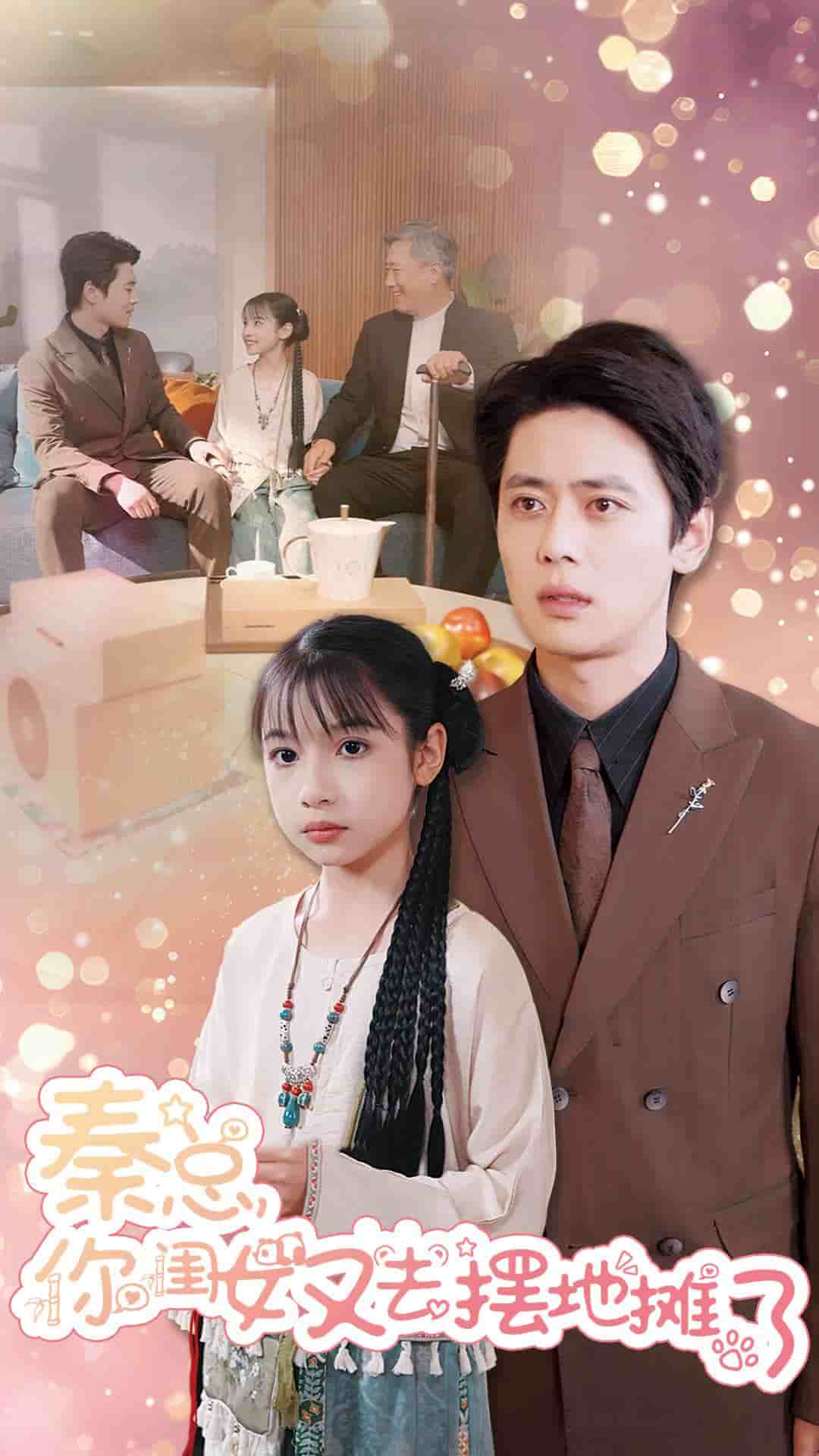 秦总你闺女又去摆地摊了 第11集