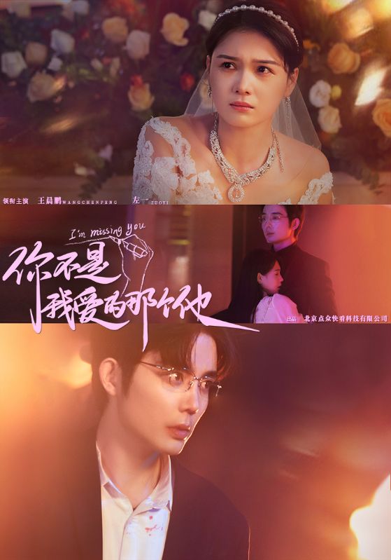 你不是我爱的那个他 第12集