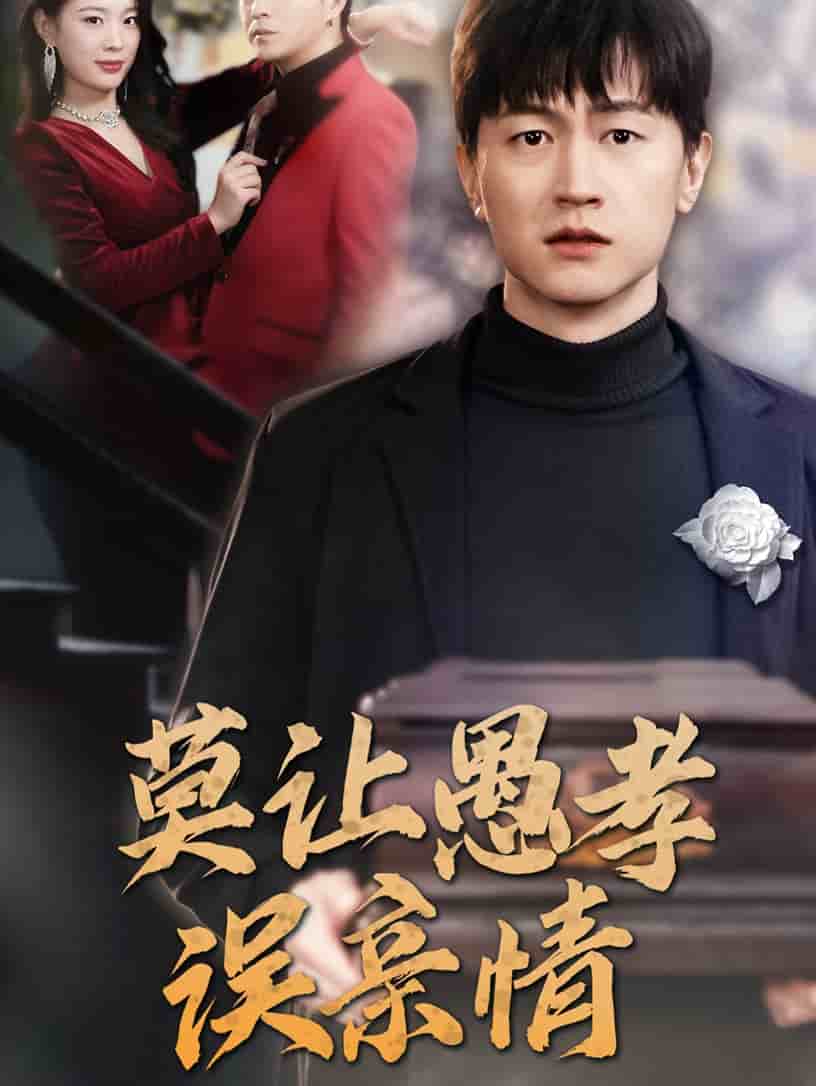 莫让愚孝误亲情 第41集