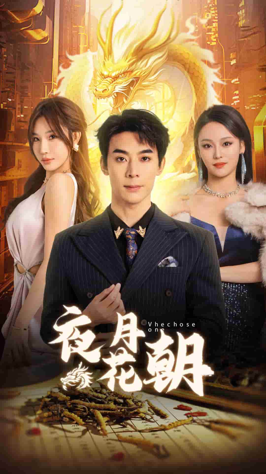 夜月花朝 第28集