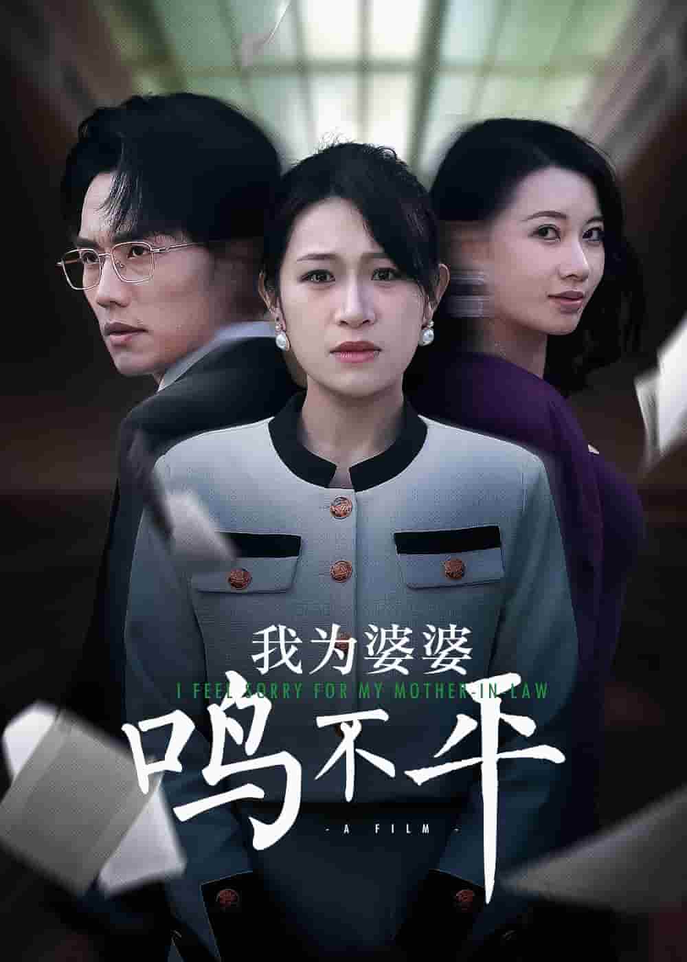 我为婆婆鸣不平 第4集