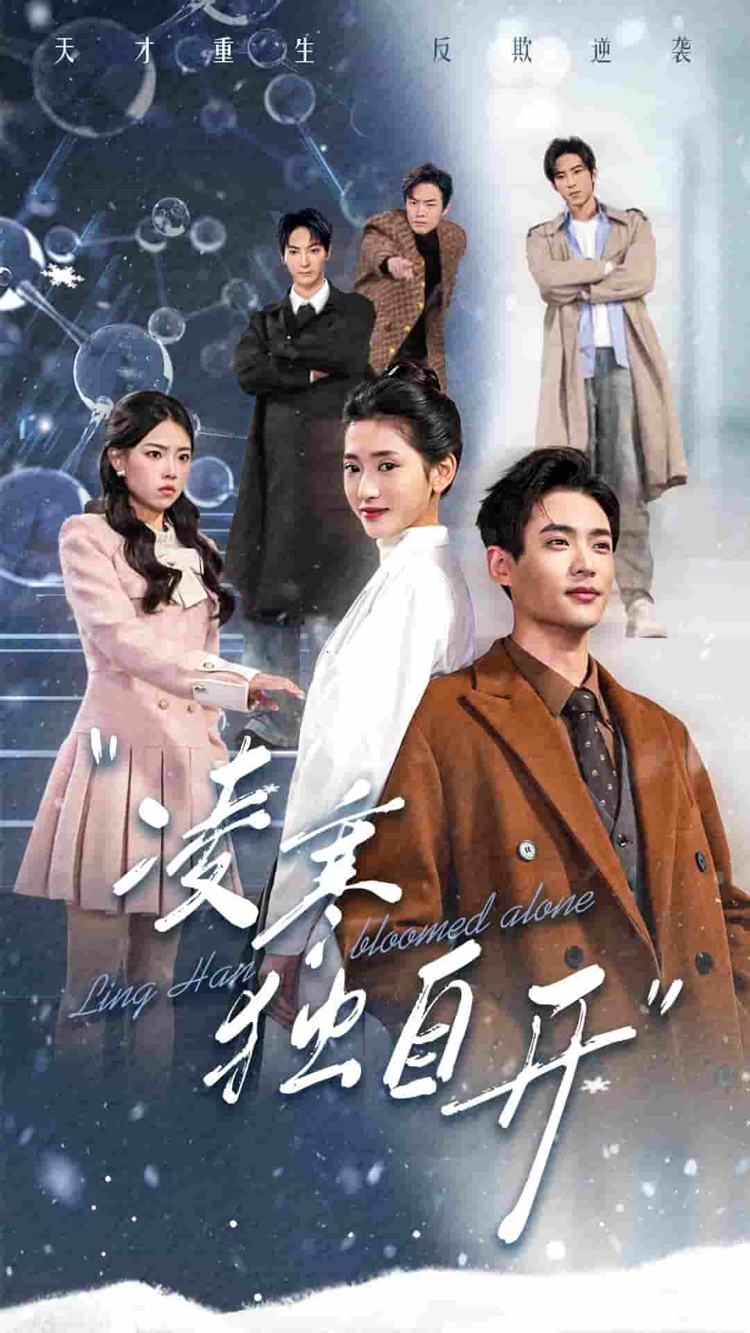 凌寒独自开 第1集