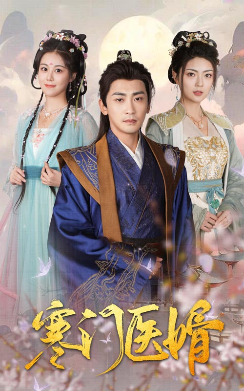 寒门医婿(全集)