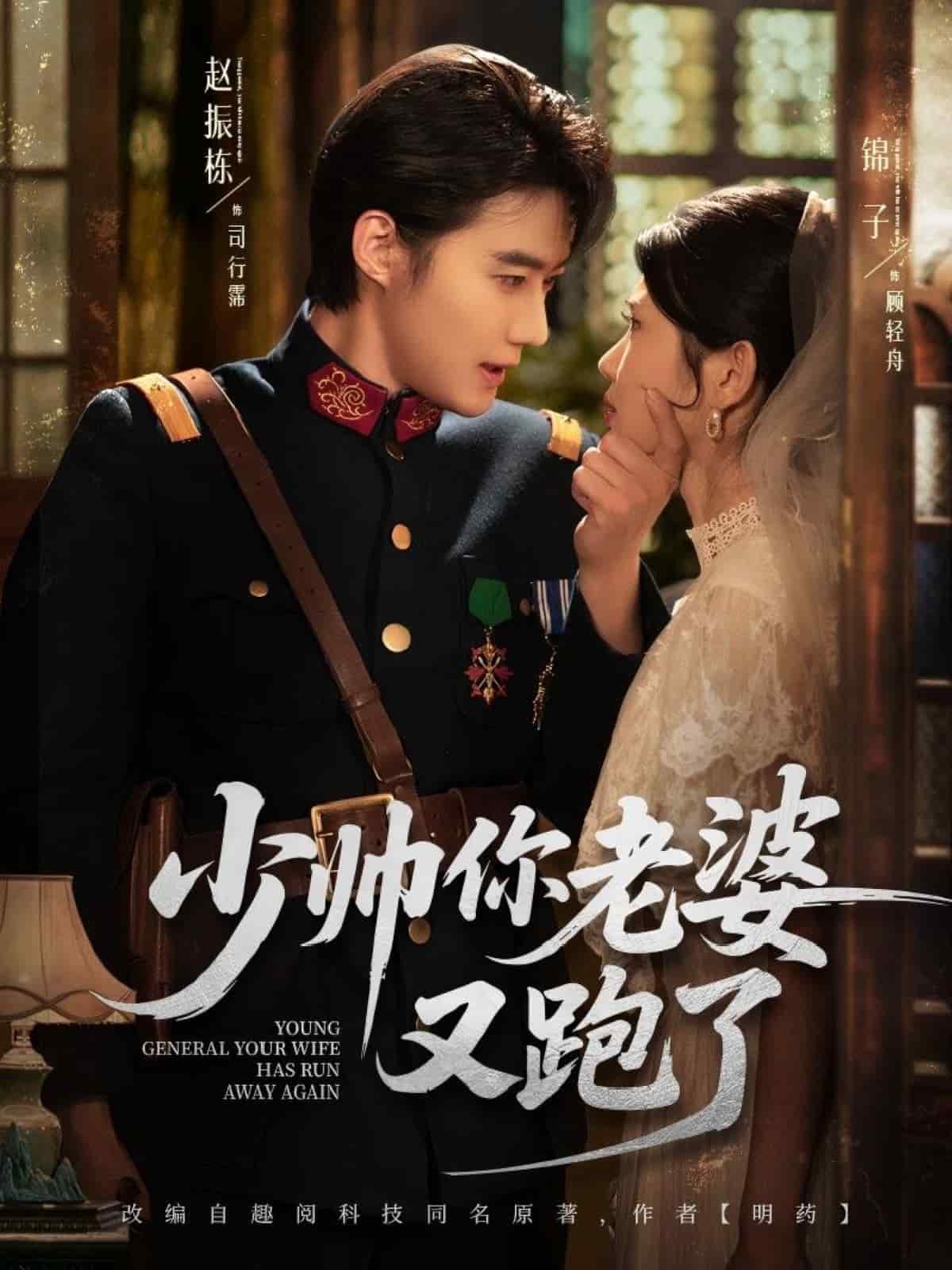 少帅你老婆又跑了(全集)