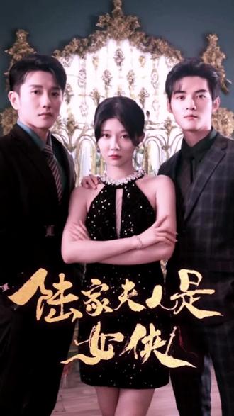 陆家夫人是女侠 21-40集