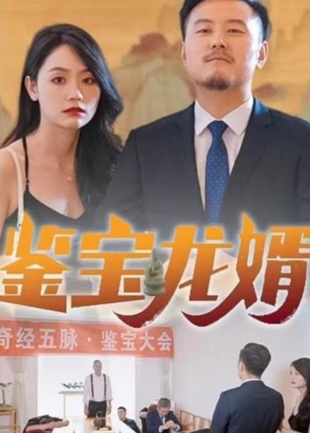 鉴宝龙婿 第80集(大结局)