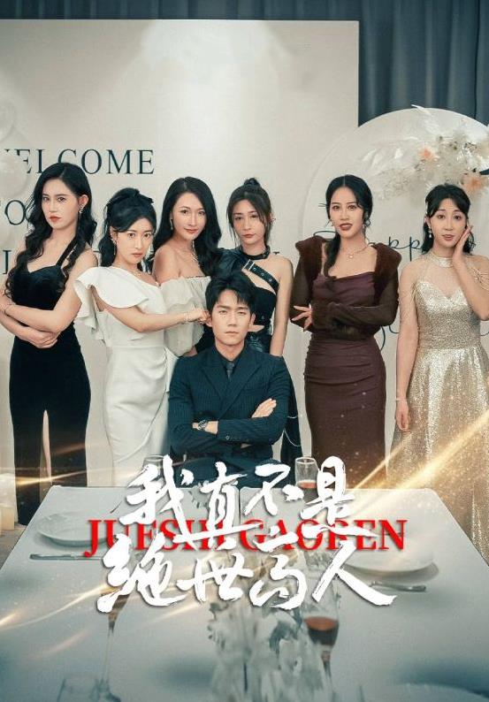 我真不是绝世高人 第12集