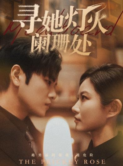 寻她灯火阑珊处 第21集